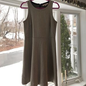 LOFT Dress Sz 6